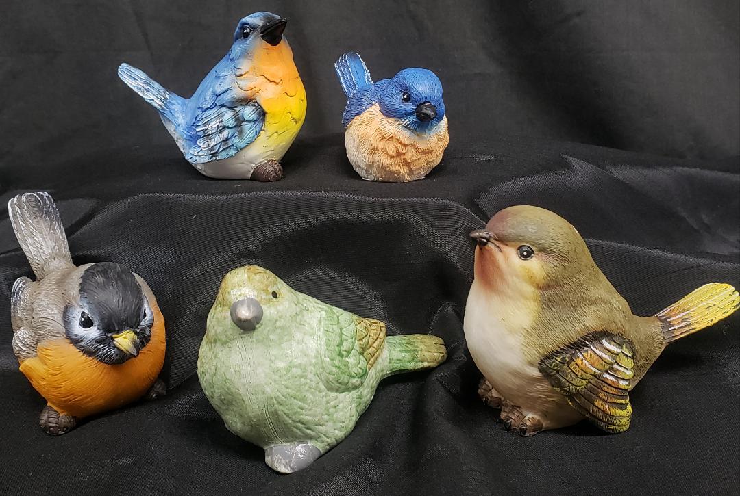 Bird